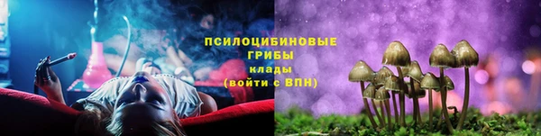 спайс Белокуриха