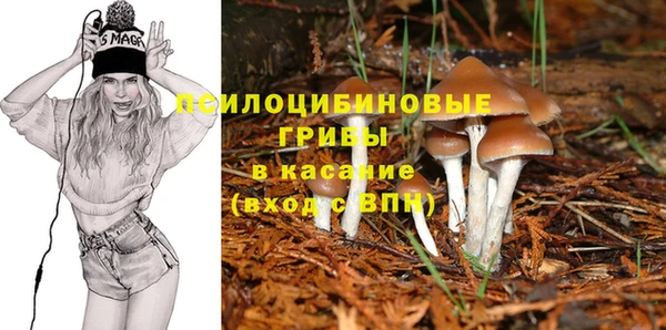 спайс Белокуриха