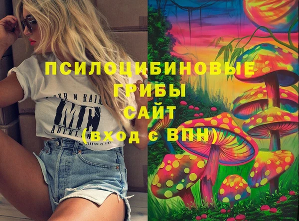 спайс Белокуриха