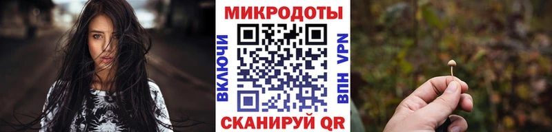 даркнет сайт  Оха  omg ссылка  Галлюциногенные грибы Psilocybe 